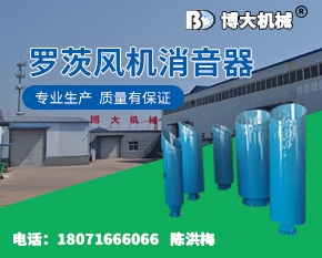 罗茨风机消音器