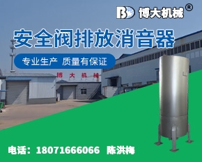 安全阀排放消音器