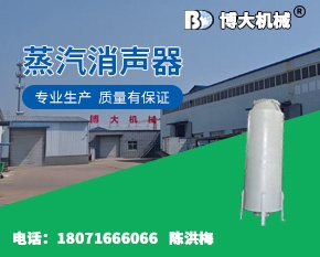 蒸汽消声器