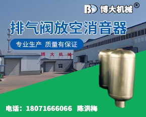 排气阀放空消音器