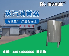 蒸汽消音器